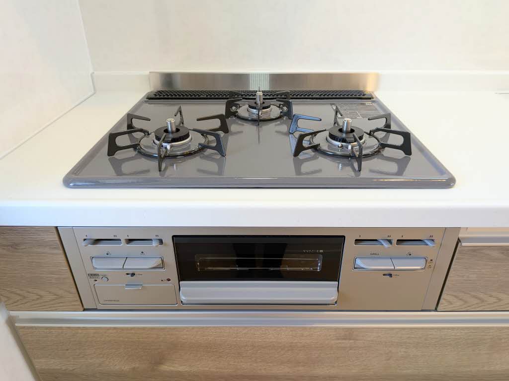 ヴィオラ平井 A棟 A0102号-4