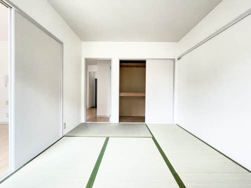 あいあいさま専用 HD-YOZAKURA'24 SF,S/STD | Deviser ｜株式会社ディバイザー