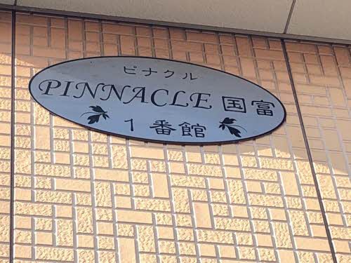 ピナクル・国富 1番館 A0102号-2