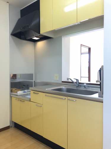 ピナクル・国富 2番館 B0202号-3