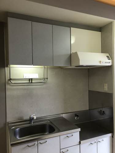 ヴィオラ真木 A0203号-3