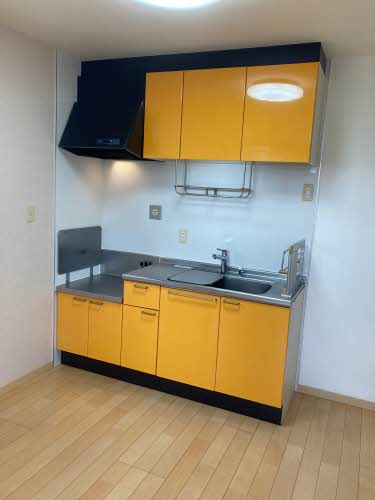 ベガ＆アルタイル A0201号-3