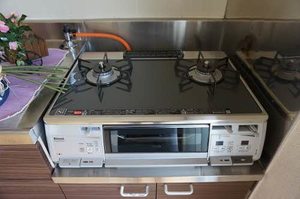サンファミリア B棟 B0205号-3