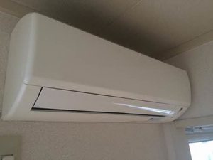 ラスティック21 B棟 B0203号-10