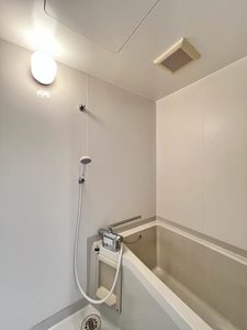 ＣＨＥＺ－ＭＯＩ【セモア】Ａ棟 A0102号-8