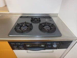 ビットミストラル C棟 A0206号-4