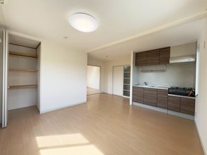 グレース　ホリ A0202号-2