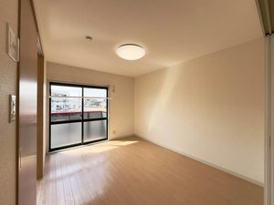 グレース　ホリ A0202号-5