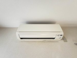 グレース　ホリ A0202号-11