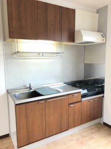 ディアス　アリキ A0102号-2