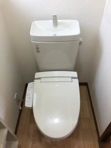 ディアス　アリキ A0102号-8