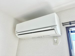 サングランデ A0102号-11