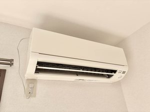 サングランデ A0203号-11