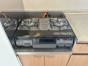 緑の館 A棟 A0201号-4