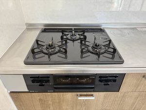 オリーブテラス　Ｃ棟 C0206号-4