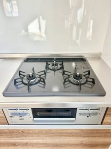 ヴェルジュ B棟 B0102号-4