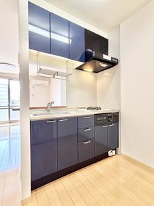 エストリオン　Ⅱ A0201号-3