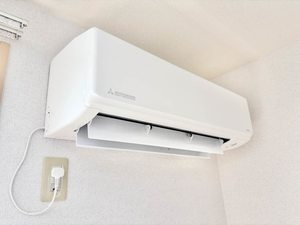 エストリオン　Ⅱ A0201号-11