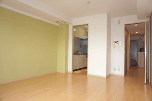 サンルーフパークマンション A0302号-3