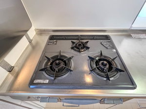 セリューズ D棟 D0205号-4