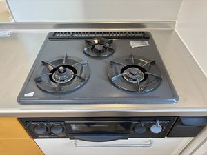 トリニティコート　Ａ棟 A0102号-4