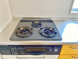 グリーンノート　Ｄ棟 D0110号-4