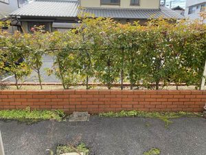 マンションフクミ A0012号-10