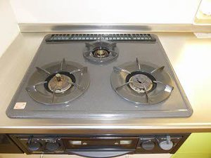 ローズ・パール　Ｂ棟 B0205号-4