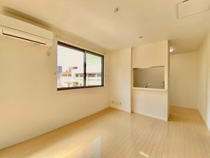 ドゥ・カショーエプ A0202号-2