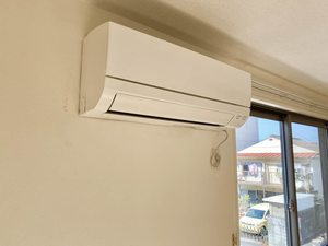 ドゥ・カショーエプ A0202号-11