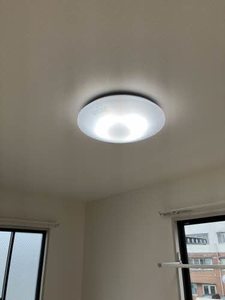 ルネ・セフィラ A0201号-14