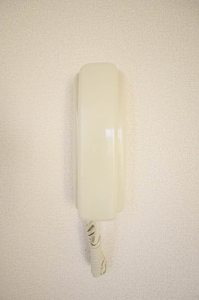 フレグランス篠原 A棟 A0202号-9