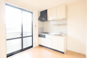 シャーメゾン・エクセル A0203号-3