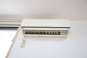 コルピーナ A0105号-10