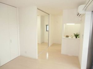 シャーメゾン・ノワ・ドゥ・ココ A0105号-2