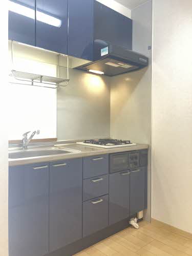 エストリオン　Ⅱ A0101号-3