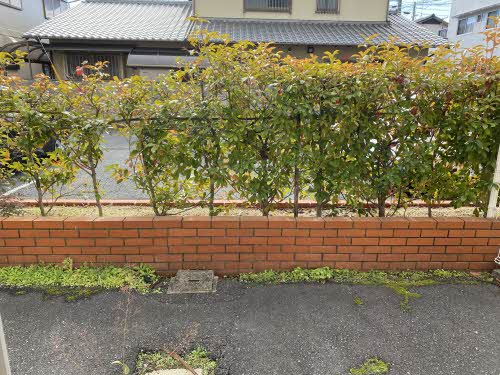 マンションフクミ A0012号-10