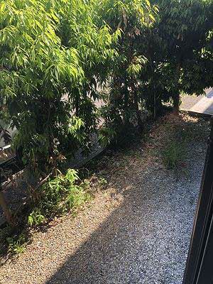 クレセント・トウヨウ　Ａ棟 A0101号-9