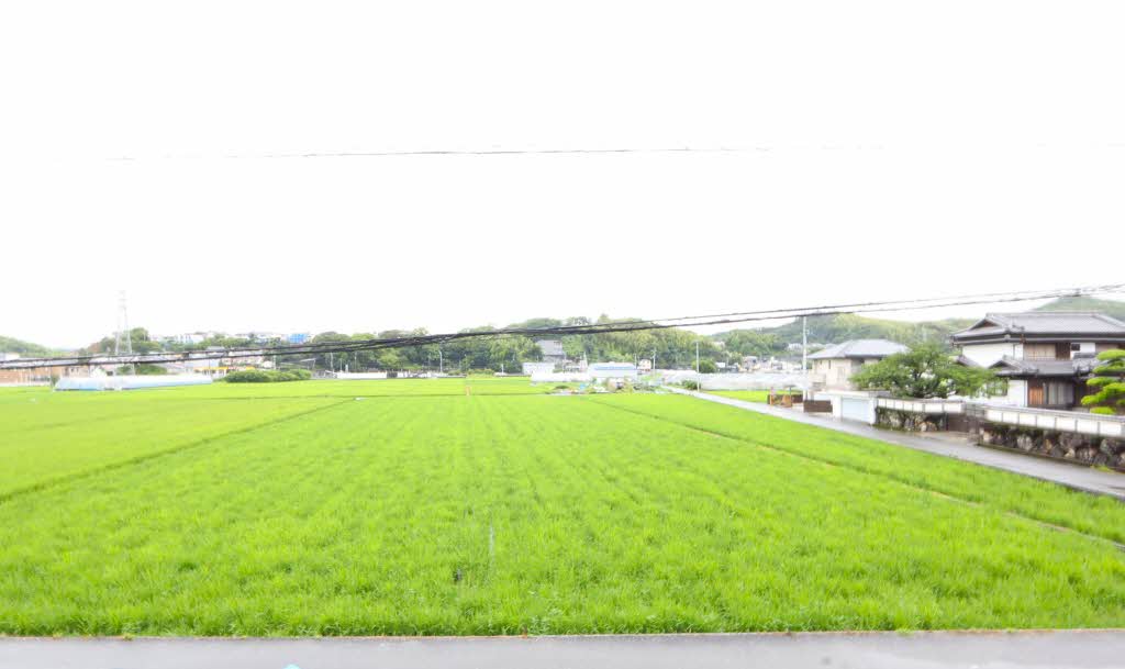 クレール林崎 B棟 B0203号-13