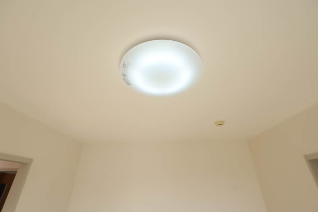 Ｙ’ｓ２１　Ｃ棟 C0202号-13