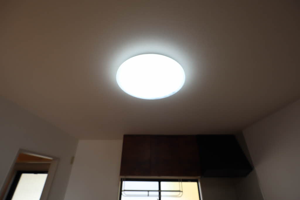 Ｙ’ｓ２１　Ｃ棟 C0202号-15