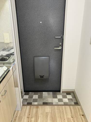 ルネ・セフィラ A0201号-12