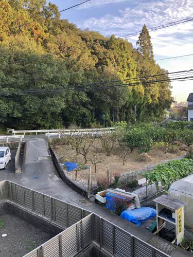 ファルカスⅡ　Ａ棟 A0101号-12