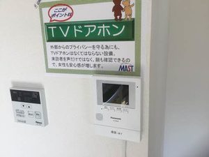 エバーグリーン A0202号-6