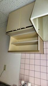 ぴのきお A0203号-11