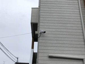 ぴのきお A0203号-12