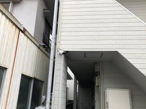 ぴのきお A0203号-13