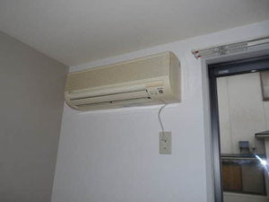 グリーングラス A0102号-11