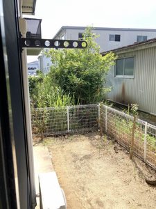 ベルエア　Ｅ棟 E0102号-12