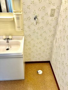 チェリーブロッサム A0102号-5